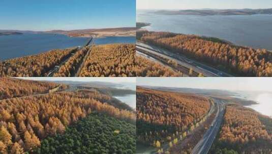 无人机航拍镜泊湖南湖景区牡丹江森林红叶高清在线视频素材下载