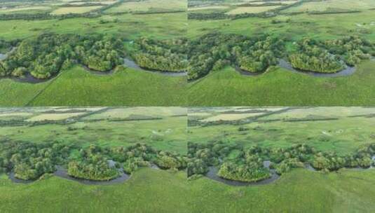 航拍湿地蜿蜒的河湾风景高清在线视频素材下载