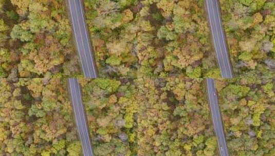 航拍秋季森林道路交通汽车行驶高清在线视频素材下载