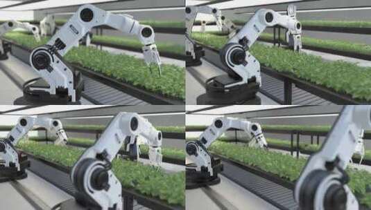 无土栽培蔬菜机械臂采收高清在线视频素材下载