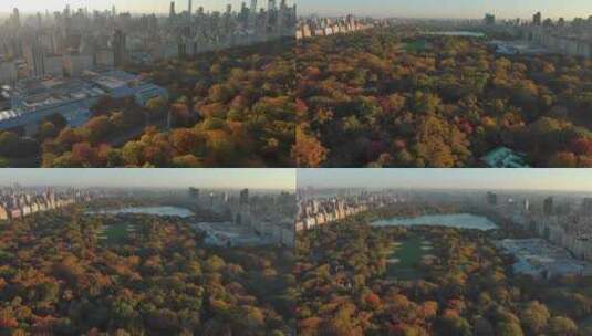 航拍纽约中央公园树林摩天大楼城市天际线高清在线视频素材下载