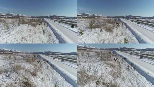 航拍内蒙古大兴安岭冬季冰雪道路高清在线视频素材下载