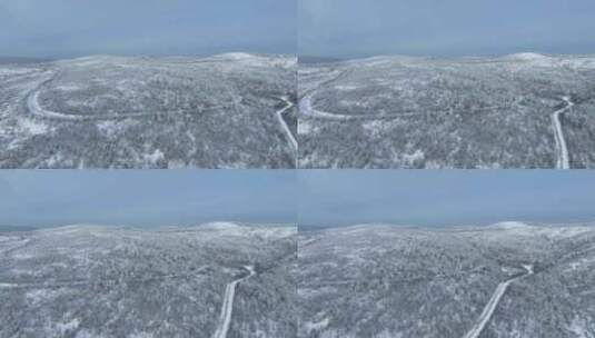 小寒时节的大兴安岭雪景雾凇雪松银装素裹高清在线视频素材下载