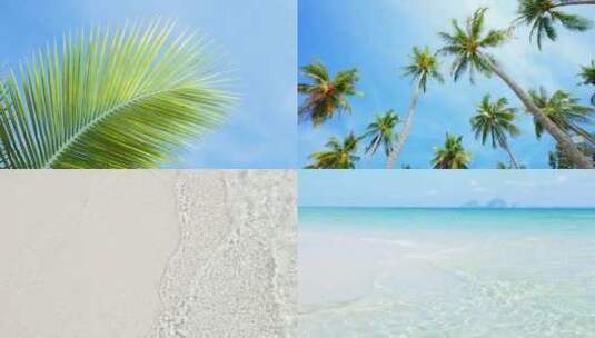 海边风景，海水海浪，椰子树高清在线视频素材下载