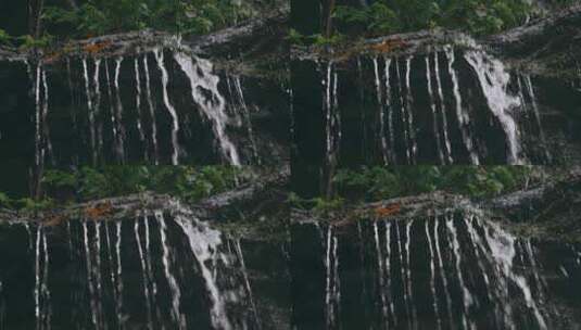 水滴滴水植被青苔高清在线视频素材下载