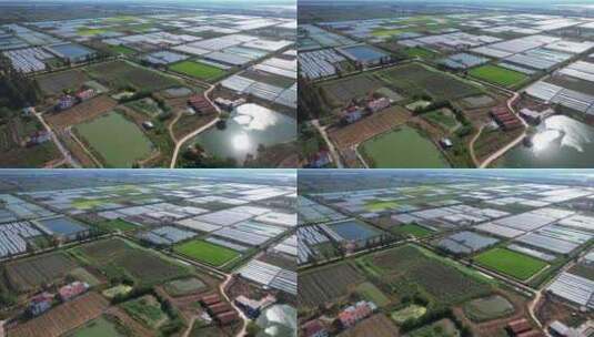 航拍乡村农业绿色稻田田园风景高清在线视频素材下载