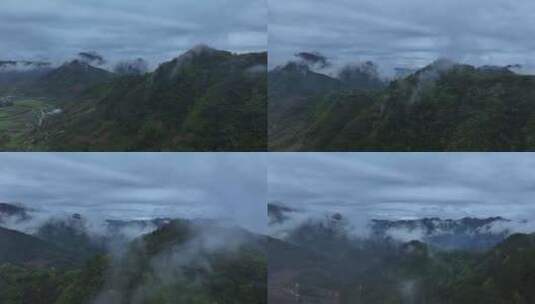 云雾原始森林大自然航拍高清在线视频素材下载