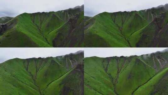 山脉植被峡谷航拍（果子沟）高清在线视频素材下载