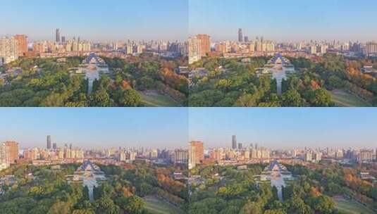 上海秋天 龙华寺秋天 上海地标秋色高清在线视频素材下载