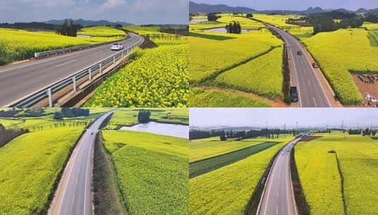 4k航拍花海公路  车辆在油菜花海中行驶高清在线视频素材下载