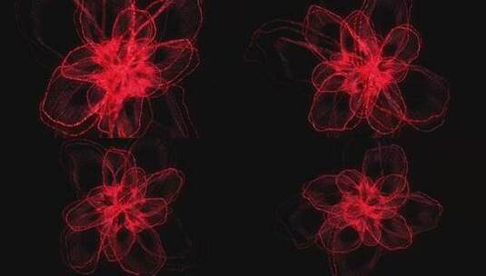 花朵花瓣唯美绚丽粒子特效动画4KAE工程高清AE视频素材下载
