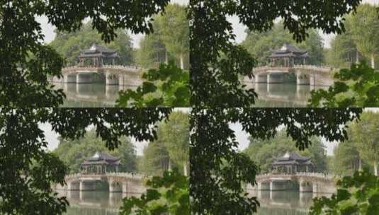 南京秦淮河区域白鹭湖公园高清在线视频素材下载