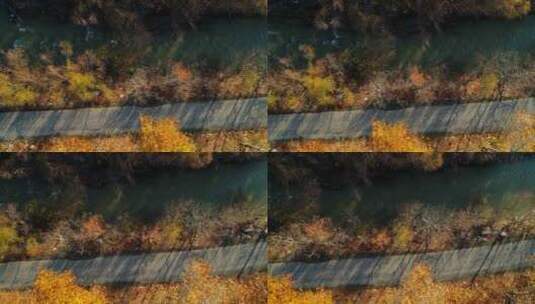 秋天的河与路高清在线视频素材下载