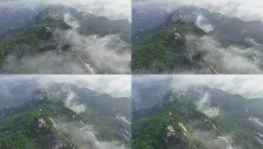 4K超清山峰云海丹东凤凰山森林生态高清在线视频素材下载