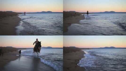 夕阳下男人海滩上骑马高清在线视频素材下载