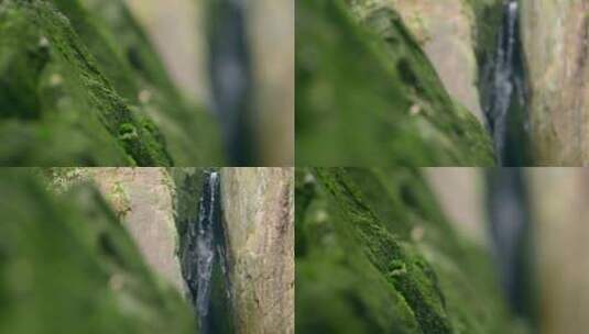 大自然  春天 瀑布 山泉 苔藓高清在线视频素材下载