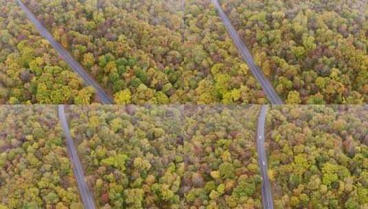 航拍秋季森林道路高清在线视频素材下载