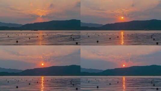 西湖边的日落高清在线视频素材下载