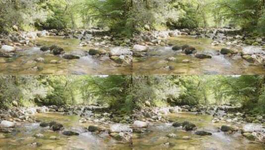 森林中的河流高清在线视频素材下载