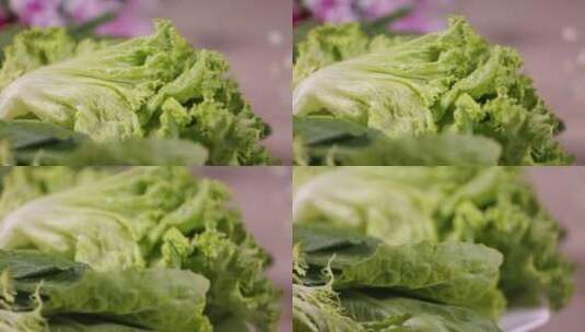 绿菜叶生菜叶子高清在线视频素材下载