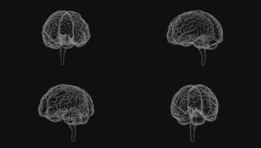 医学 大脑 脑科学 三维 脑ct1 模型高清在线视频素材下载