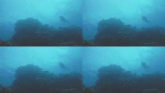 深海里的潜水员高清在线视频素材下载