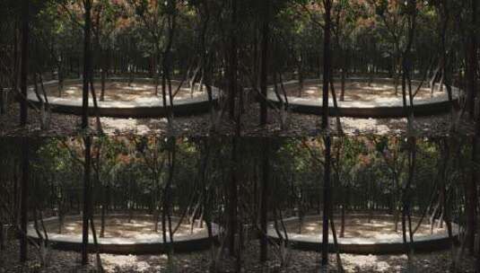 杭州西湖八卦田风景高清在线视频素材下载