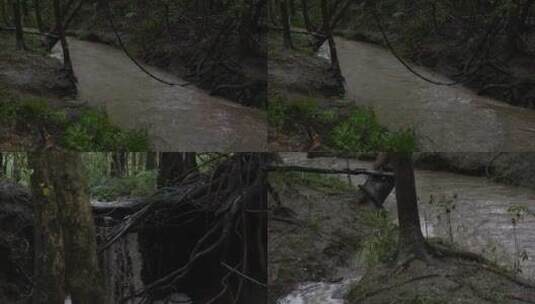 雨季森林下雨流水溪水高清在线视频素材下载