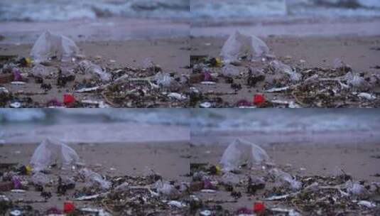 海洋垃圾 海洋污染高清在线视频素材下载