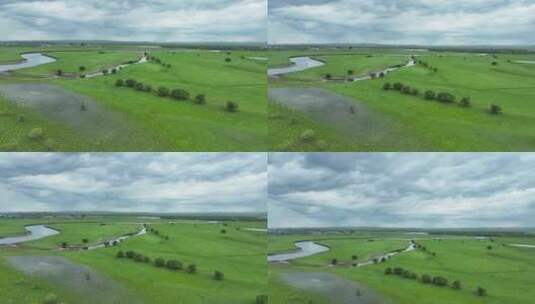 内蒙古草原牧场海拉尔河湿地夏日风光高清在线视频素材下载
