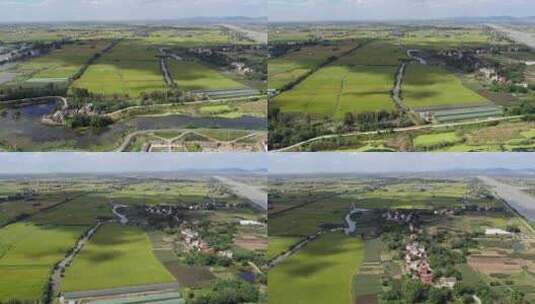 无人机航拍鸟瞰农村庄水稻田野高清在线视频素材下载