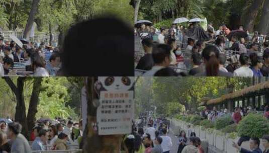 2023广州动物园游览游客高清在线视频素材下载