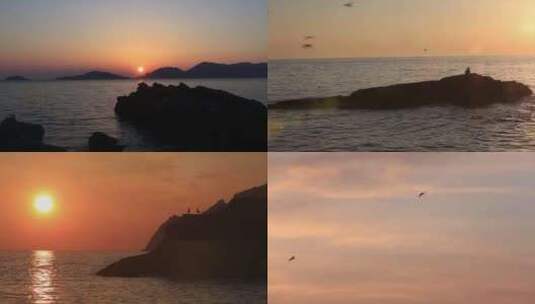 大海海边海浪海水日出日落海鸟海鸥高清在线视频素材下载