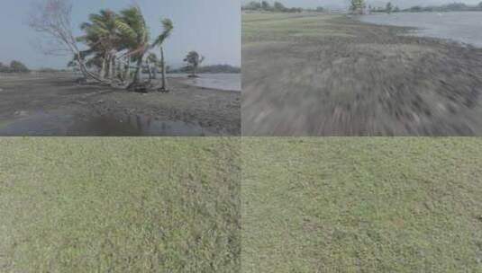 海南乡村湿地航拍空镜高清在线视频素材下载