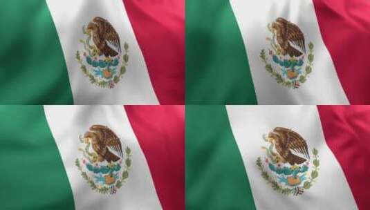 墨西哥国旗/墨西哥国旗高清在线视频素材下载