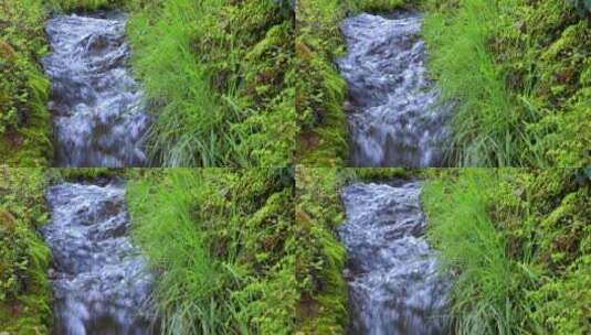 大自然中的小溪流水高清在线视频素材下载