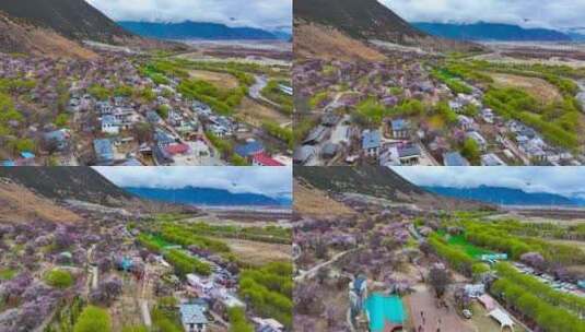 4K航拍西藏林芝嘎拉桃花村53高清在线视频素材下载