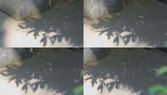 别墅花园院子地面树影光影意境高清在线视频素材下载