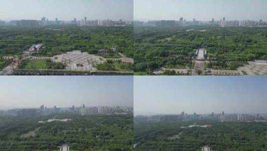 航拍洛阳隋唐城遗址植物园高清在线视频素材下载