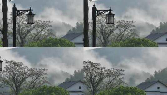 清晨乡间高清在线视频素材下载