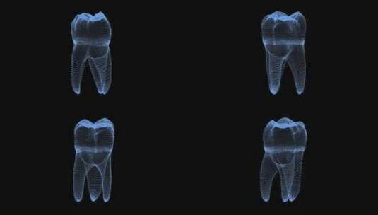 磨牙旋转，牙齿背景3D动画高清在线视频素材下载