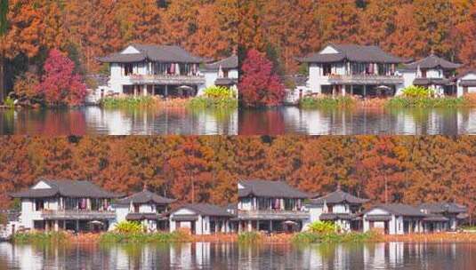 杭州西湖秋天建筑风景高清在线视频素材下载