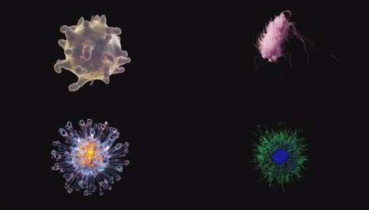 病毒基因细菌4k画质高清在线视频素材下载