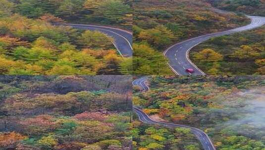 竖屏航拍四川大巴山盘山公路秋季景色高清在线视频素材下载