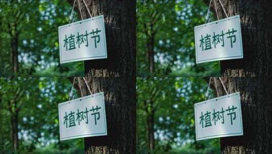 植树节爱护树木环境保护地球宣传片片头高清在线视频素材下载