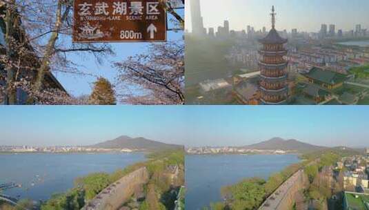 南京市玄武区古鸡鸣寺樱花风景视频素材航拍高清在线视频素材下载