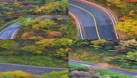 竖屏航拍四川大巴山秋天红叶美景高清在线视频素材下载