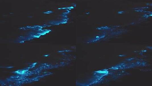 大连荧光海蓝眼泪高清在线视频素材下载