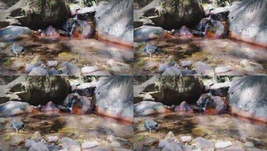 水从岩石流向浅溪的低角度镜头高清在线视频素材下载