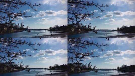 沿海地区的湖面景观高清在线视频素材下载